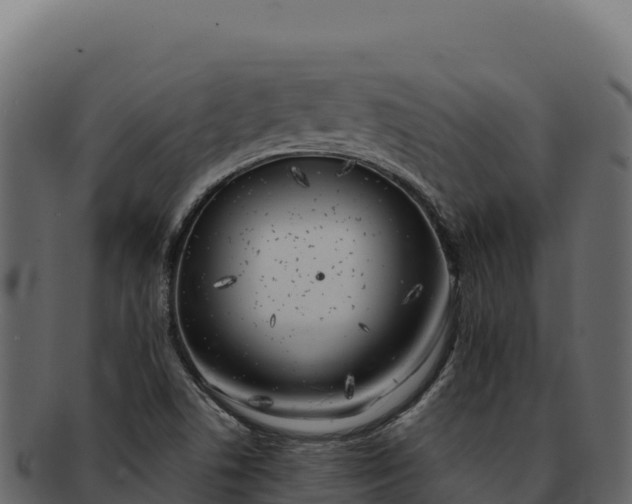 X0000092301506200710041438