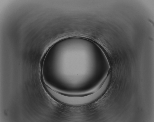 X0000092301508200710041438