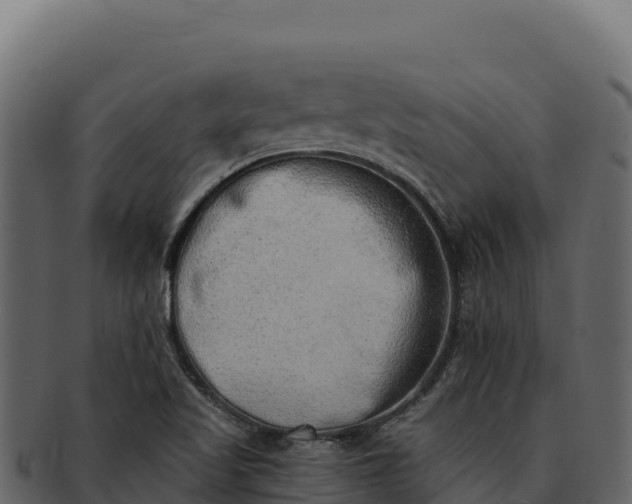 X0000092301509200710041438