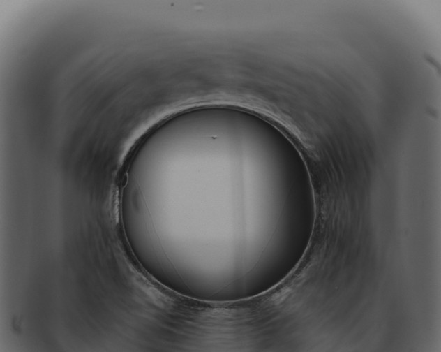 X0000092301510200710041438