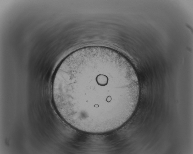 X0000092301514200710041438