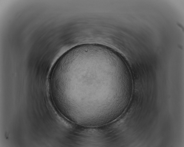 X0000092301517200710041438