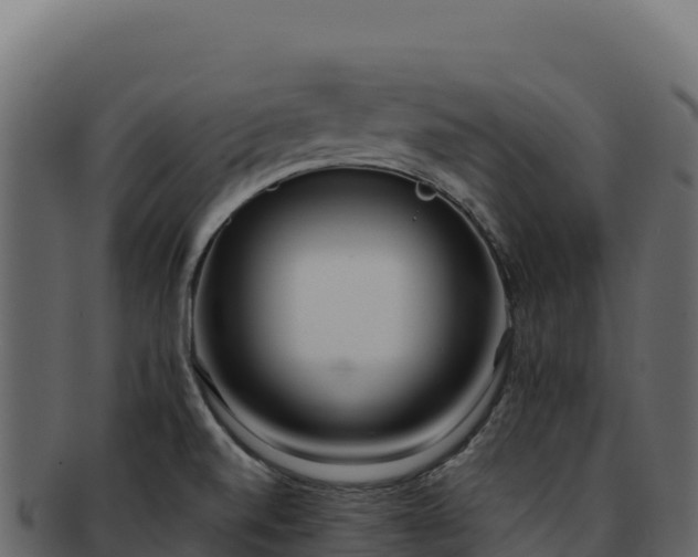 X0000092301520200710041438