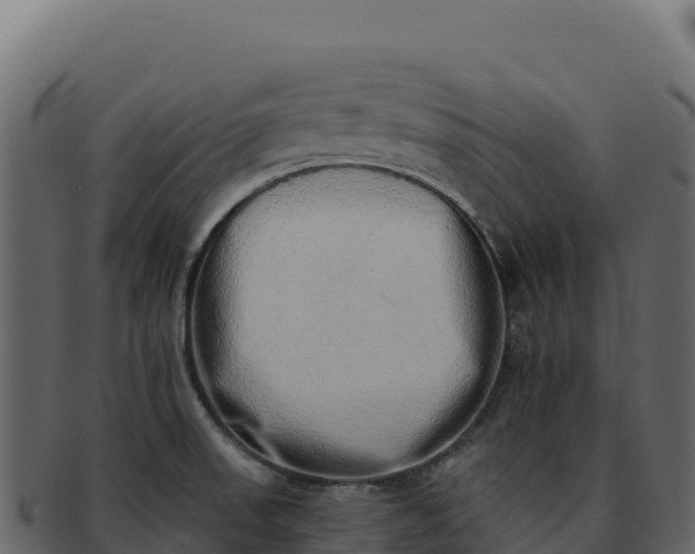 X0000092301523200710041438