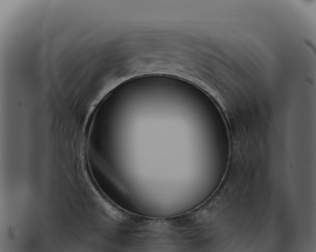 X0000092301525200710041438