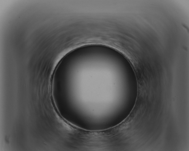 X0000092301527200710041438