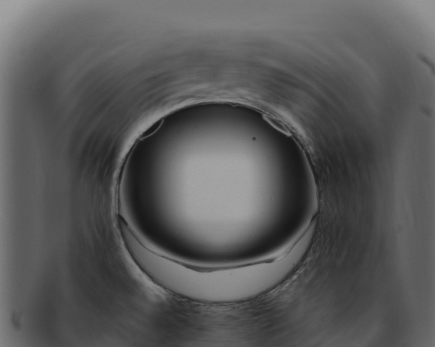 X0000092301528200710041438