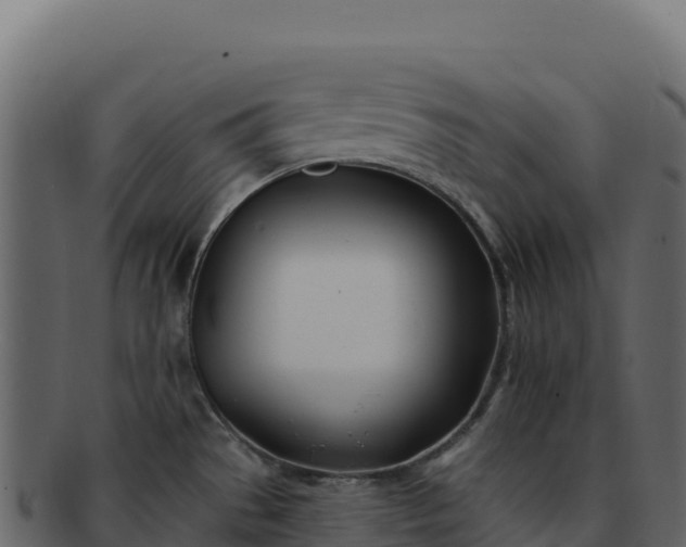 X0000092301529200710041438