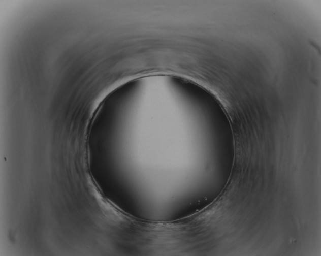 X0000092301534200710041438