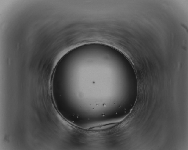 X0000092301535200710041438