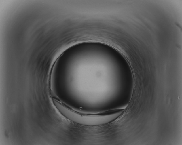 X0000092301536200710041438