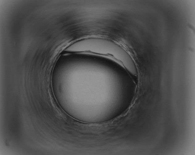 X0000092300001200710051229