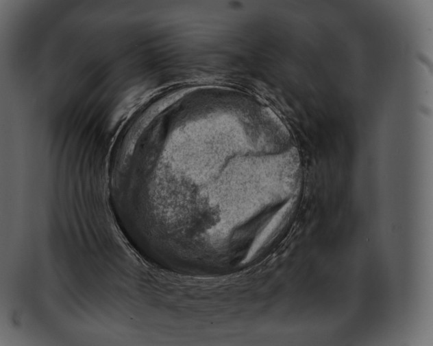 X0000092300002200710051229