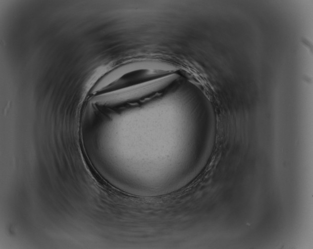 X0000092300003200710051229