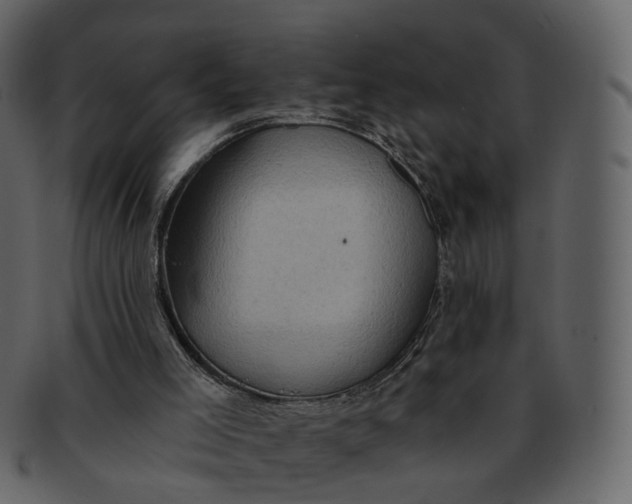 X0000092300005200710051228