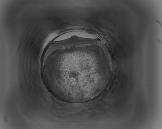 X0000092300006200710051228