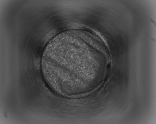 X0000092300010200710051228