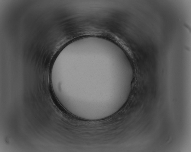 X0000092300011200710051228