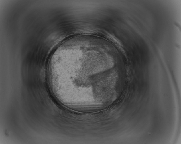 X0000092300012200710051228