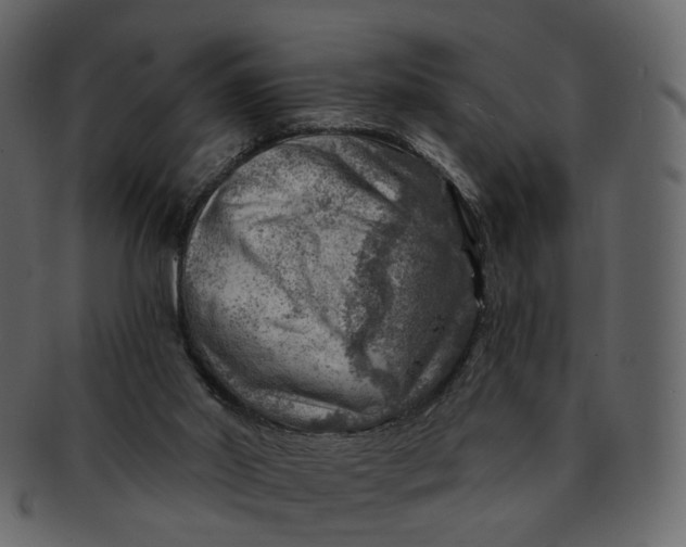 X0000092300014200710051228