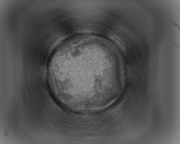 X0000092300016200710051228