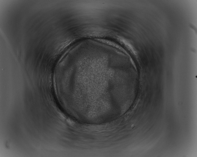 X0000092300017200710051228