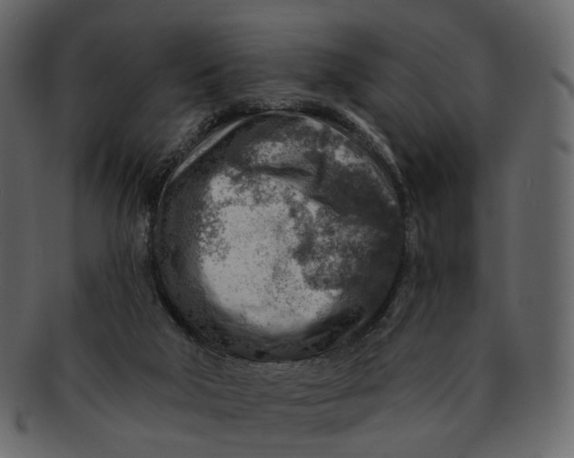 X0000092300018200710051228