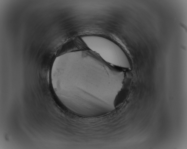 X0000092300019200710051228