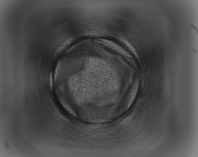 X0000092300020200710051228