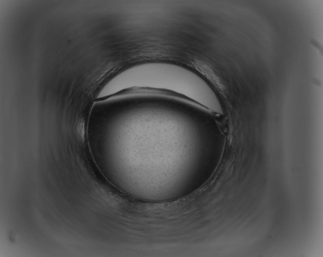 X0000092300021200710051228