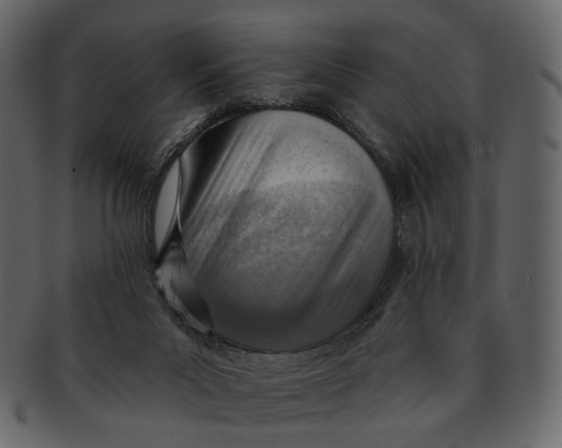 X0000092300023200710051228