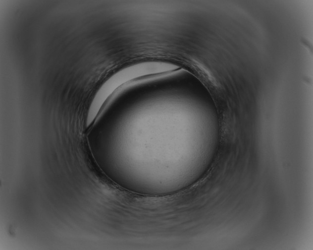 X0000092300025200710051228