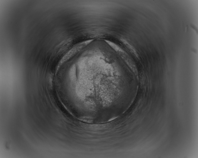 X0000092300026200710051228