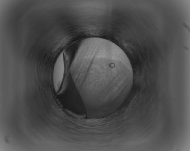 X0000092300027200710051228