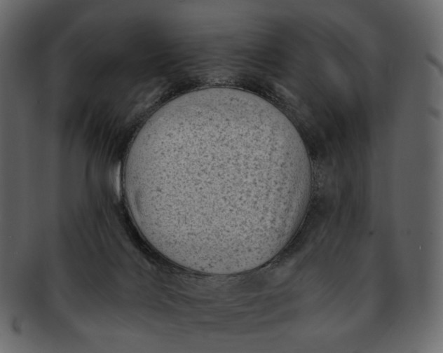 X0000092300028200710051228