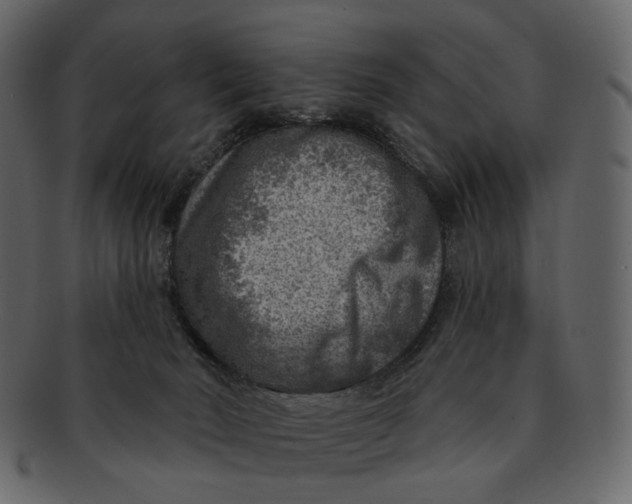 X0000092300030200710051228