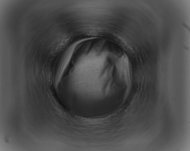 X0000092300031200710051228