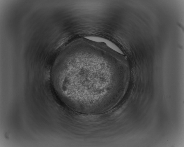 X0000092300032200710051228