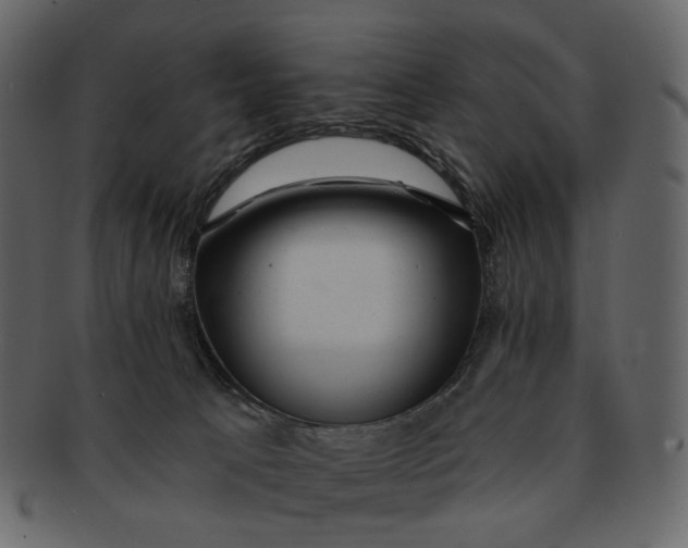 X0000092300033200710051228