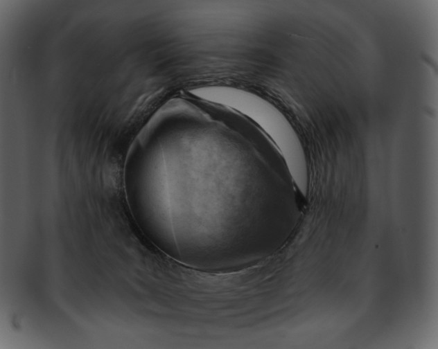 X0000092300035200710051228