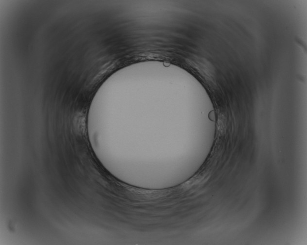 X0000092300036200710051228