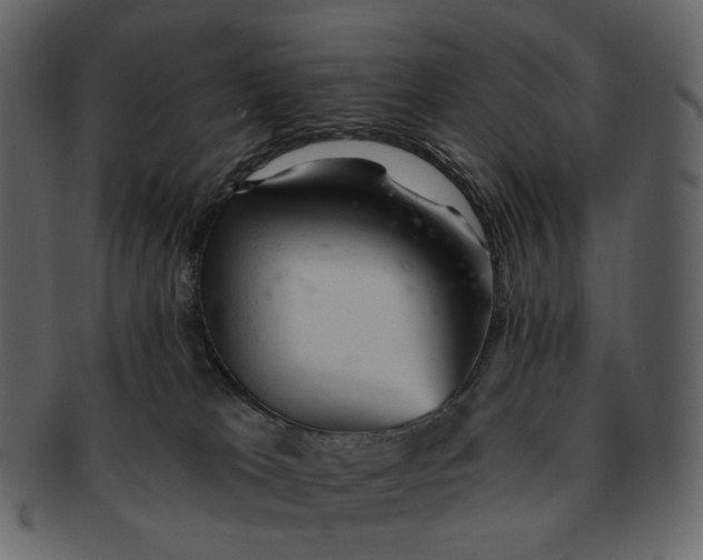 X0000092300037200710051228