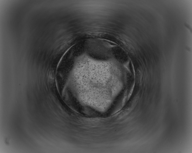 X0000092300040200710051228