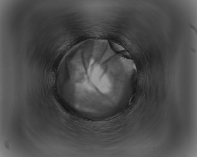 X0000092300043200710051228