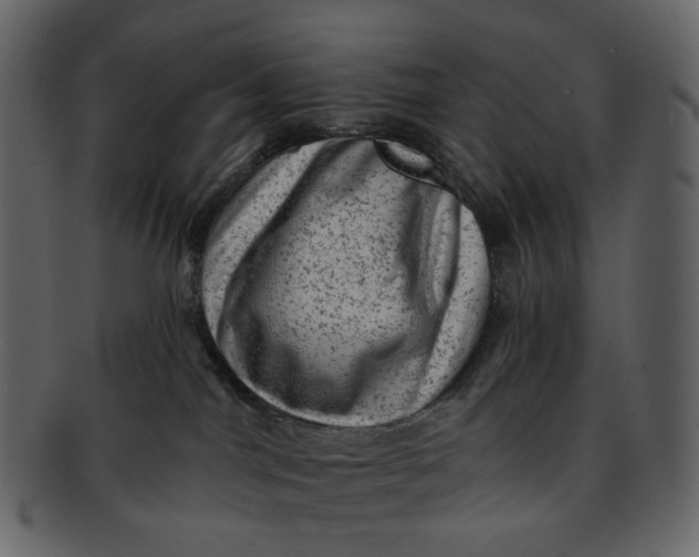 X0000092300044200710051228