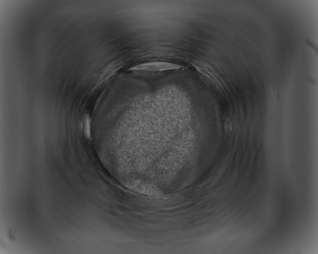 X0000092300046200710051228