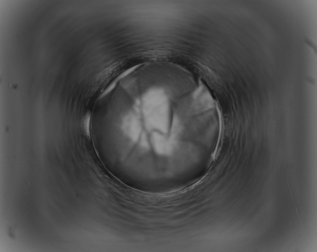 X0000092300047200710051228