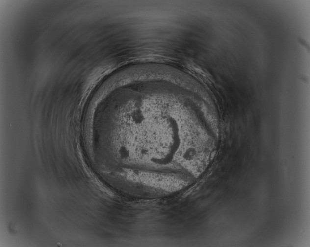 X0000092300049200710051227