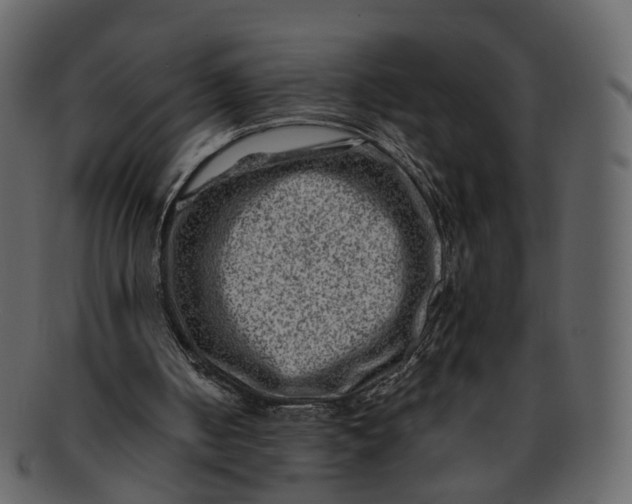 X0000092300050200710051227