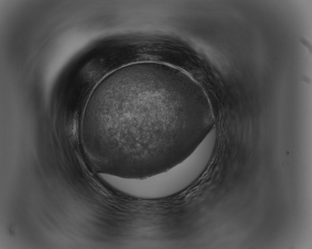 X0000092300052200710051227